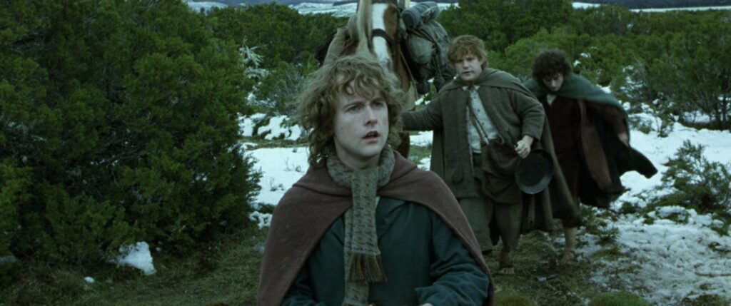 Yüzük Kardeşliği'nin en genç üyesi Hobbit Peregrin "Pippin" Took