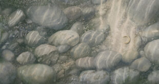 Alan Lee